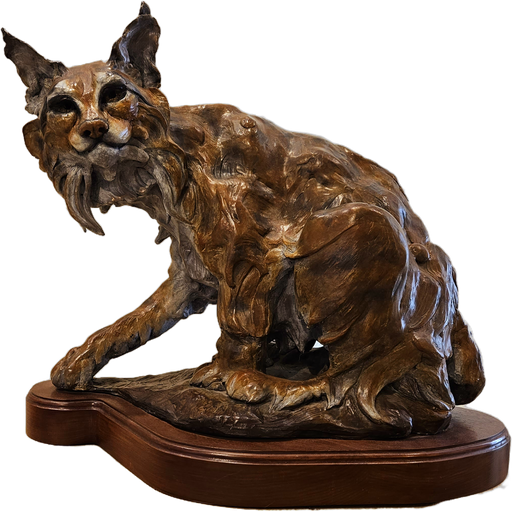 Photo of bronze sculpture of bobcat by Carol Ruff Franza