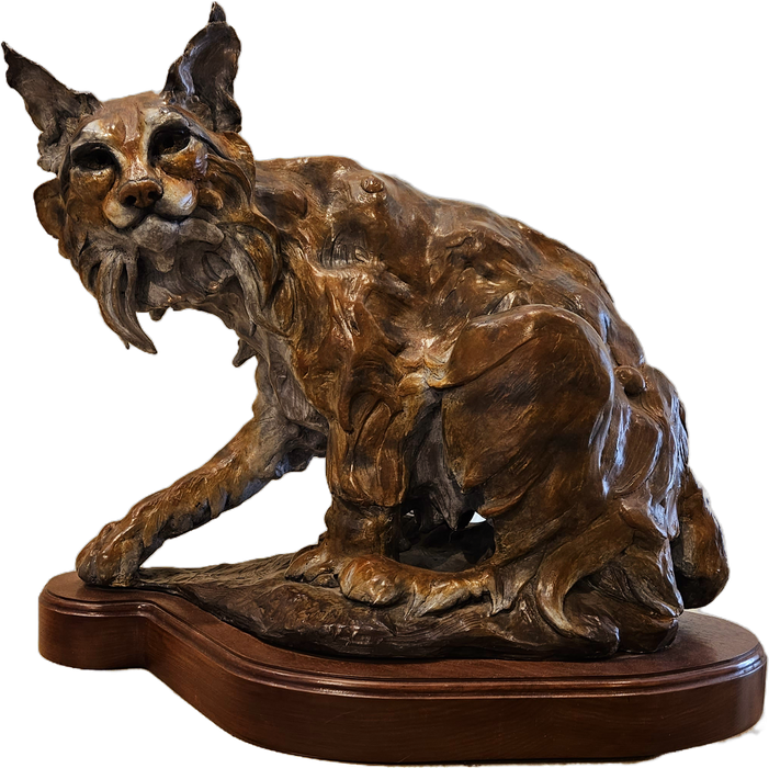 Photo of bronze sculpture of bobcat by Carol Ruff Franza
