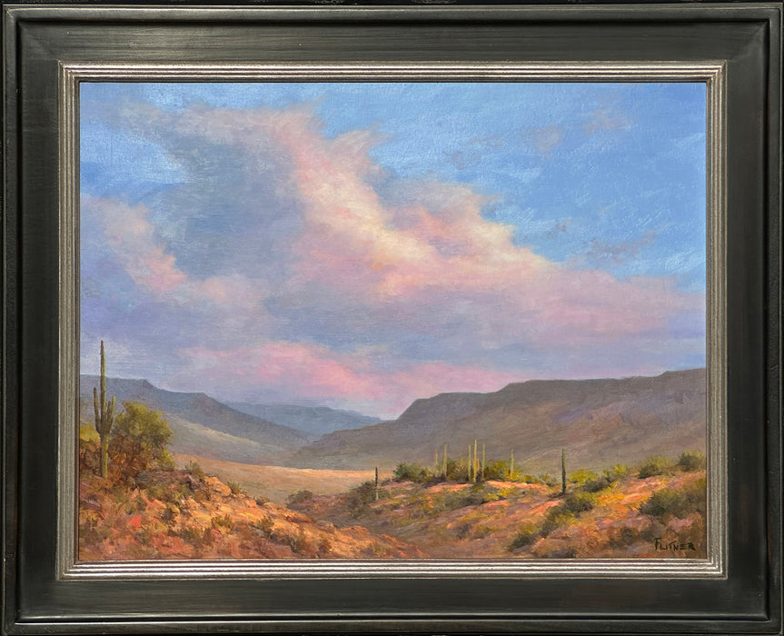 Photo of desert landscape painting by David Flitner