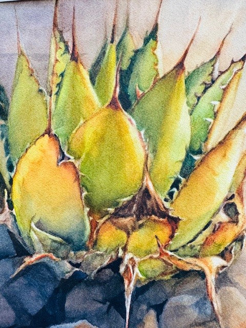 Photo of Watercolor by Mary Oelschlaeger