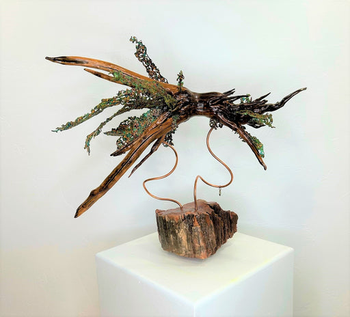 Photo of Cactus Sculpture by Nath Raye
