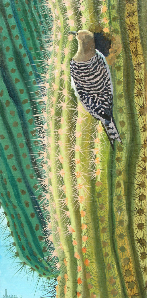 Photo of Oil Painting of Flicker and Cactus by Sharon Weiser