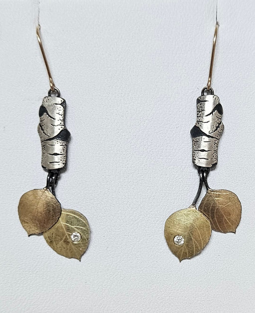 Photo of Gold and Silver Earrings by Wolfgang Vaatz
