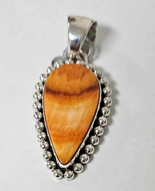 Photo of Jewelry by Artie Yellowhorse