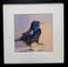 Photo of Watercolor painting of a crow by Mary Oelschlaeger