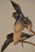 Photo of bronze sculpture by Jim Green