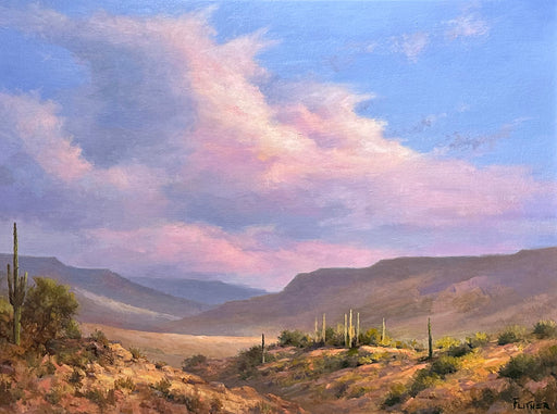 Photo of desert landscape painting by David Flitner