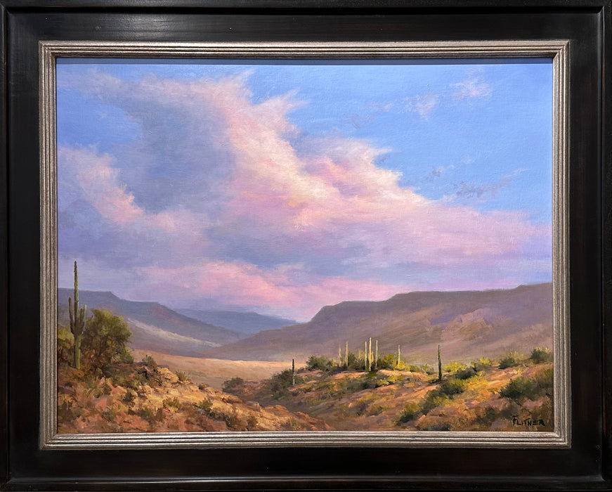 Photo of desert landscape painting by David Flitner