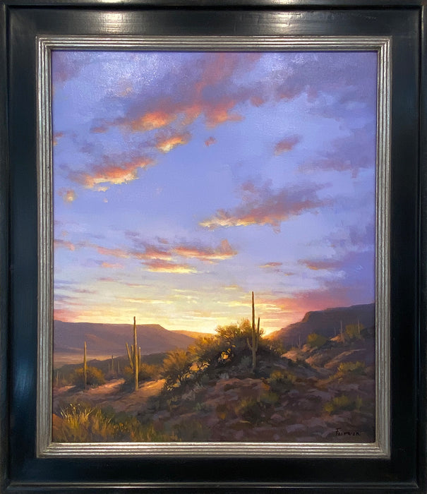 Photo of desert landscape painting by David Flitner