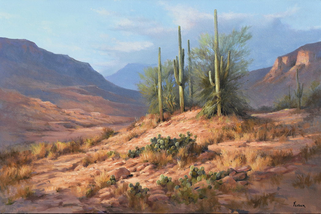 Photo of Desert Landscape oil painting by David Flitner