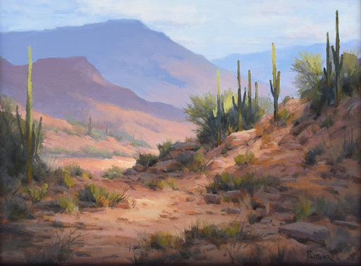 Photo of Desert Landscape oil painting by David Flitner