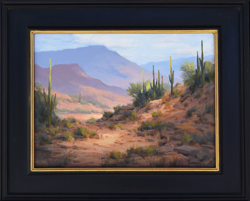 Photo of Desert Landscape oil painting by David Flitner