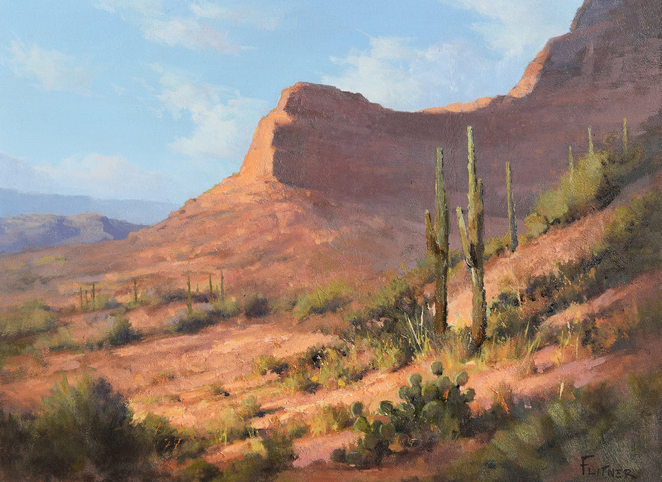 Photo of Desert Landscape oil painting by David Flitner