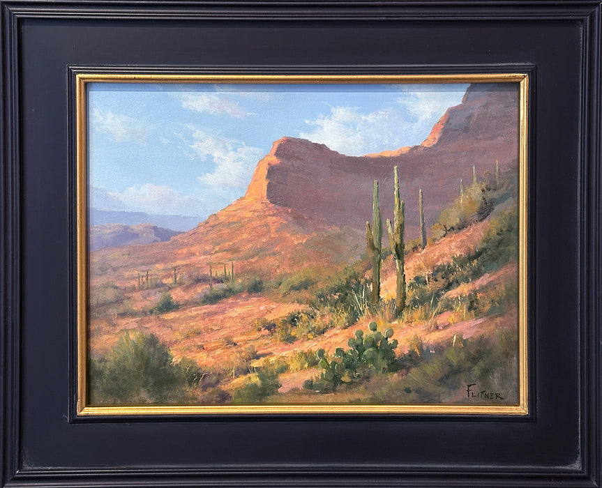 Photo of Desert Landscape oil painting by David Flitner