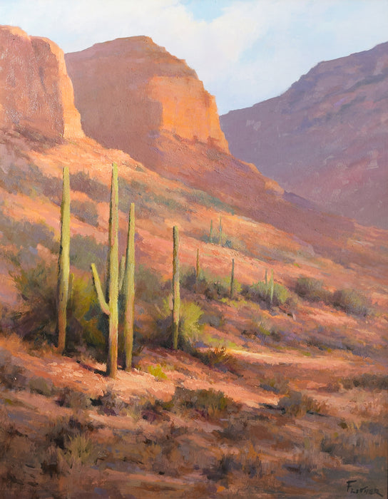 Photo of Desert Landscape oil painting by David Flitner