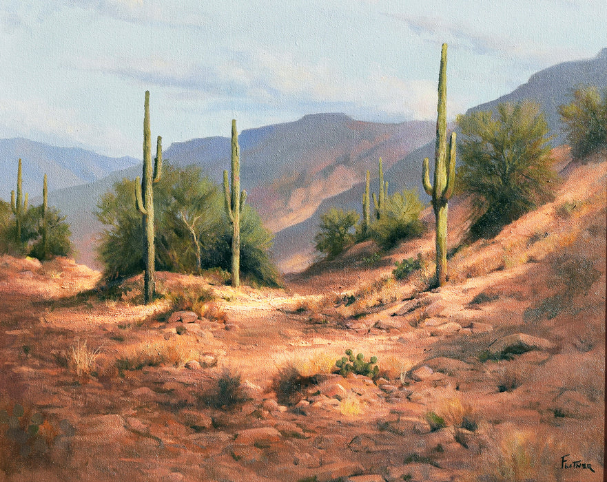 Photo of Desert Landscape oil painting by David Flitner