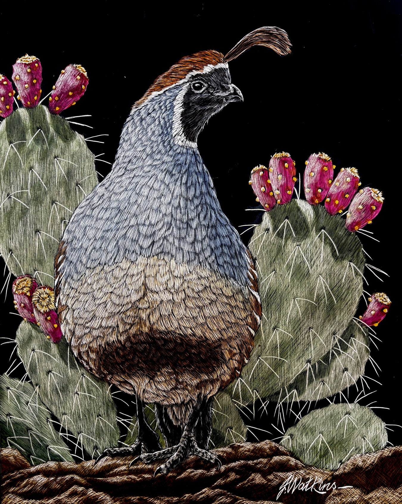 Photo of scratchboard art by Joe Watkins