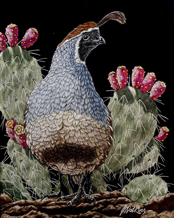 Photo of scratchboard art by Joe Watkins