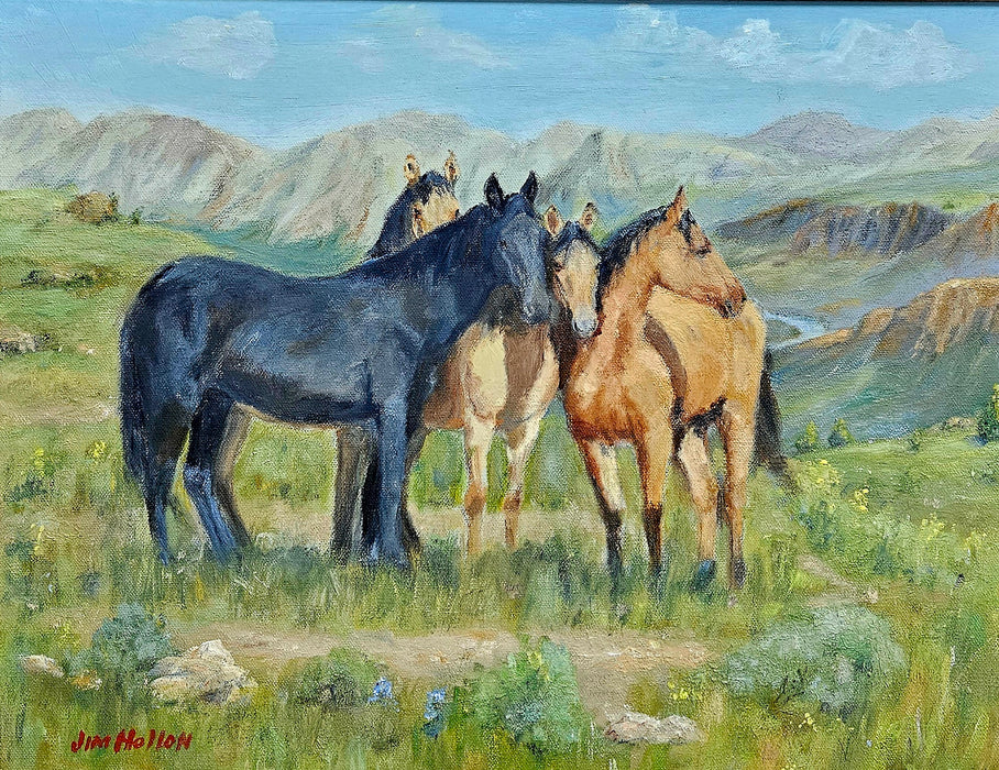 JH High Country Amigos