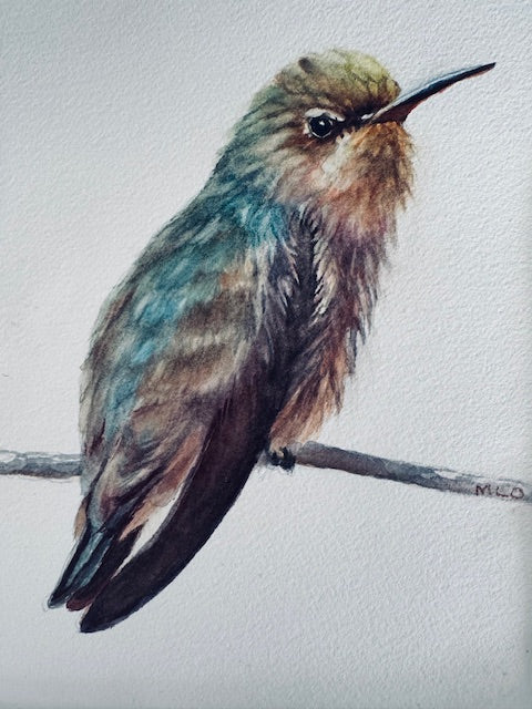 Photo of Watercolor Painting by Mary Oelschlaeger