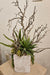 Photo of permanent botanical in artist made container by Mirage and Bird