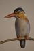 Photo of bronze sculpture by Jim Green
