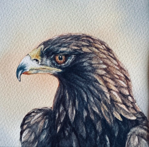 Photo of Watercolor Painting by Mary Oelschlaeger