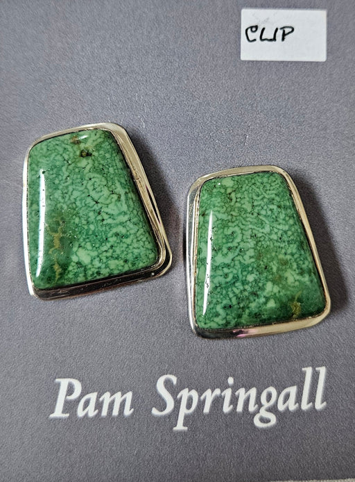 Photo of Turquoise Earrings by Pam Springall