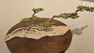 Photo of sculpture by Thomas A. Tankersley