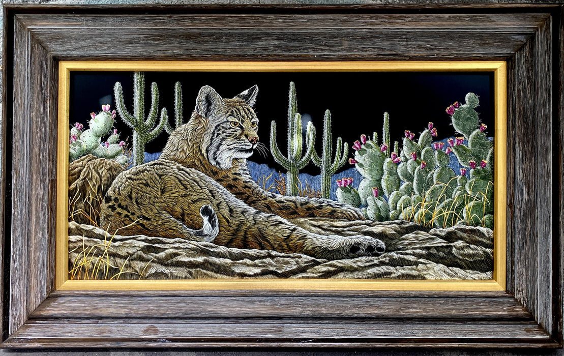 JW Sonoran Sentinel, Bobcat