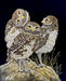 Photo of Art by Joe Watkins