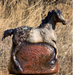 Photo of ceramic sculpture by Tonja Sell